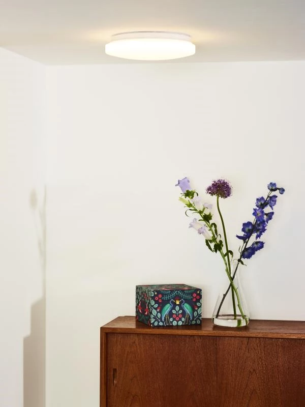 Lucide OTIS - Flush ceiling light - Ø 26 cm - LED - 1x14W 3000K - Opal - ambiance 1
